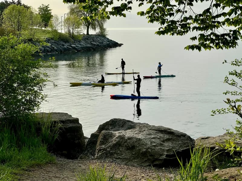 Paddleboarders and kayakers silhouetted on calm water at dusk, seen from a rocky, tree-framed shoreline.